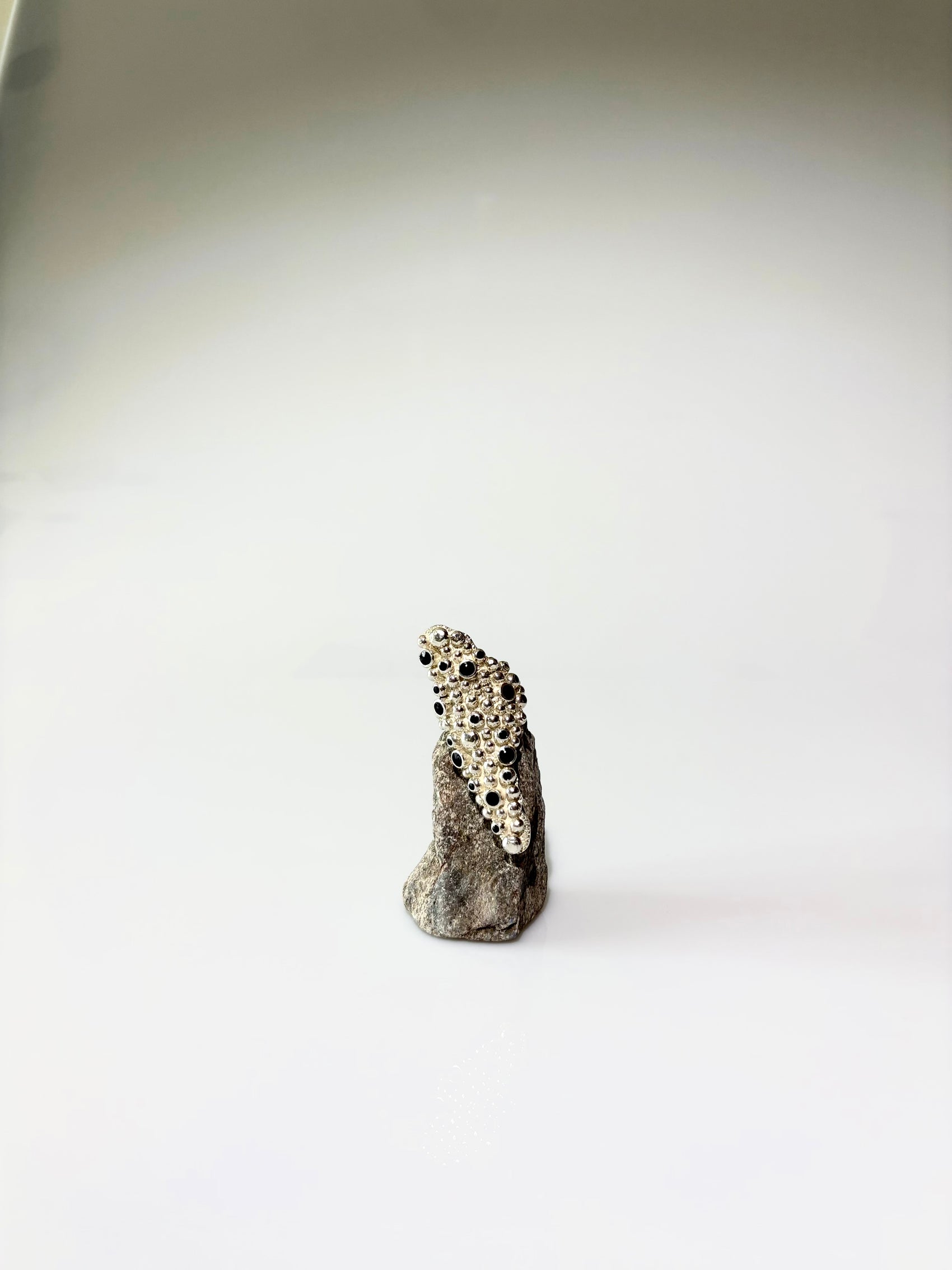 Barnacle Ring