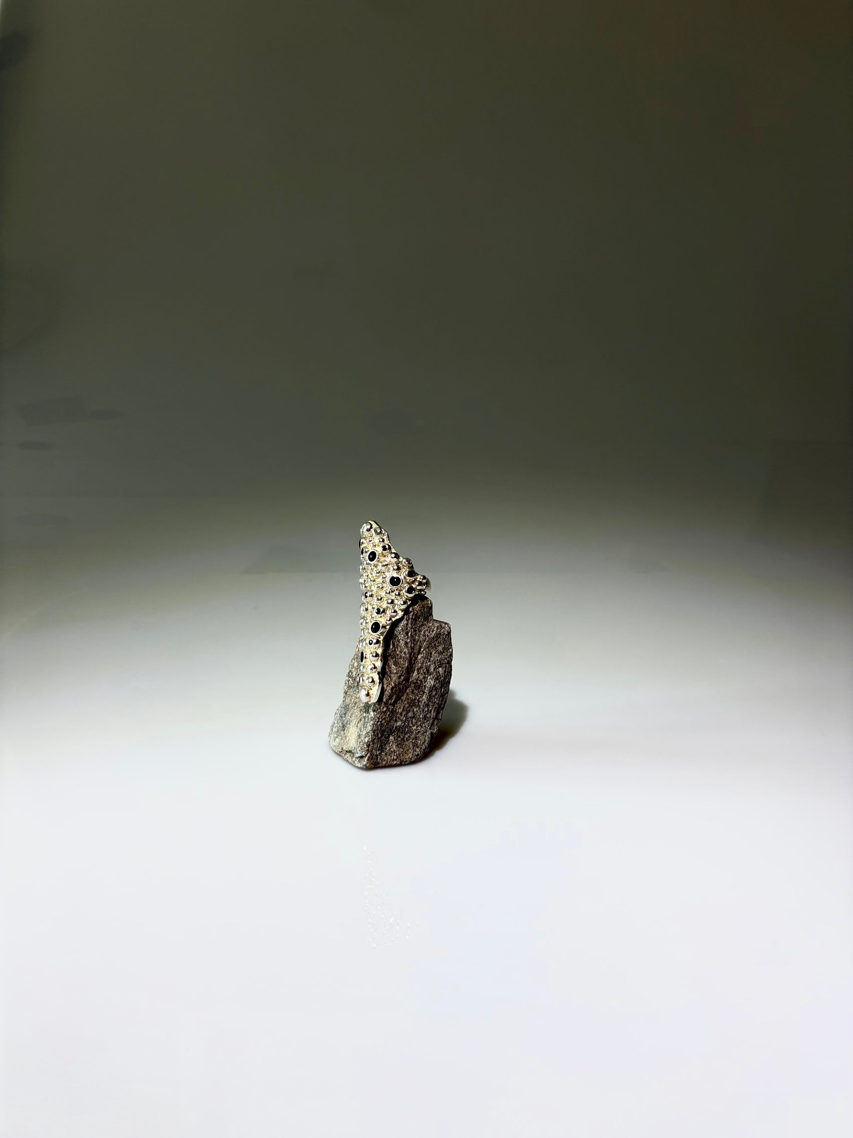 Barnacle Ring