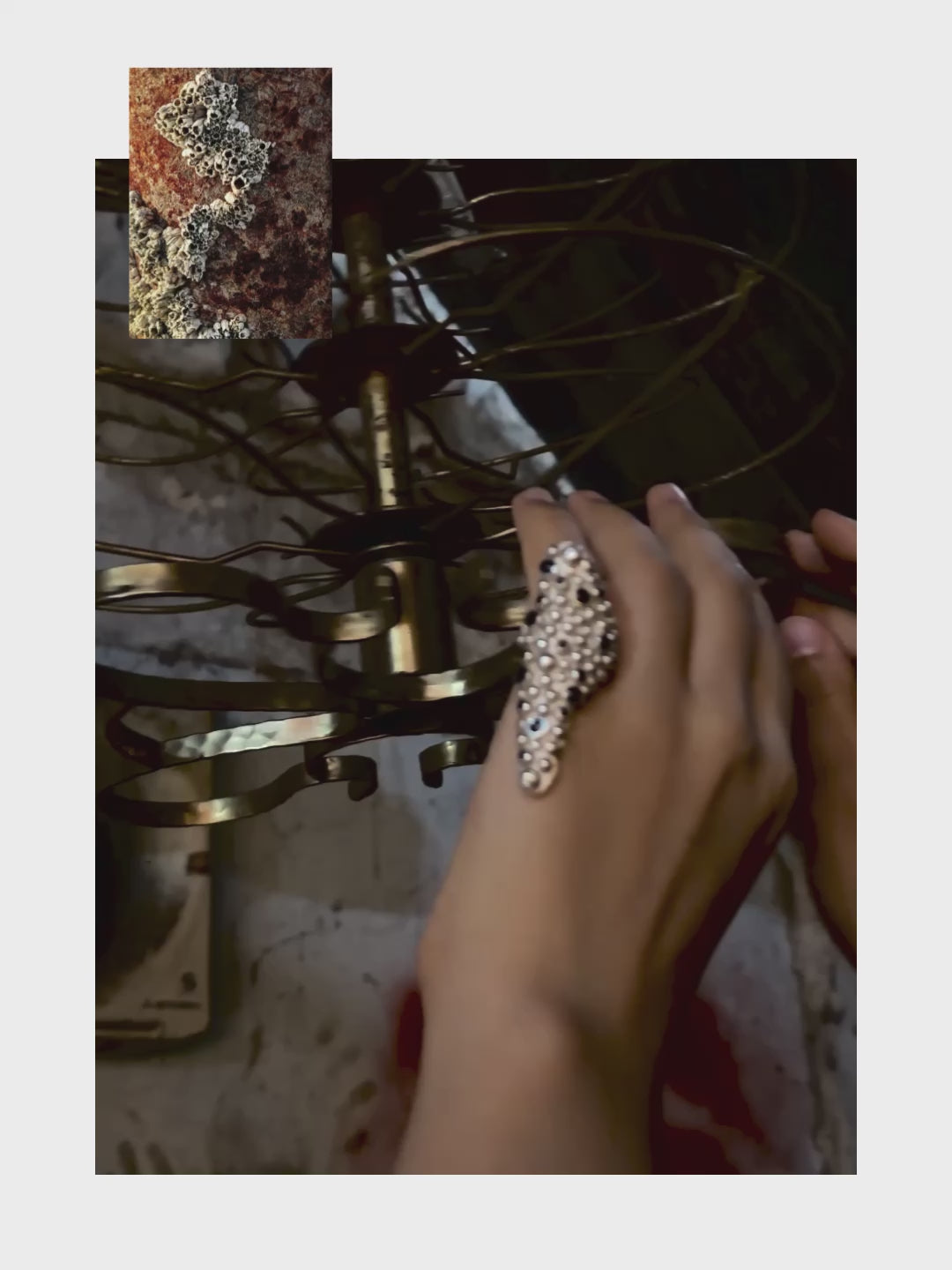 Barnacle Ring
